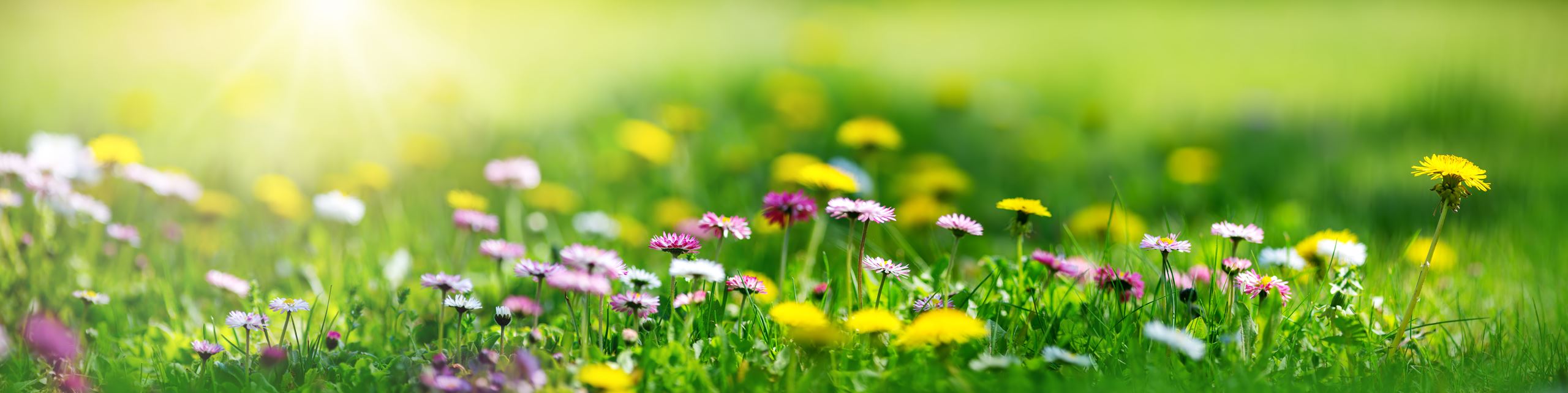 Spring