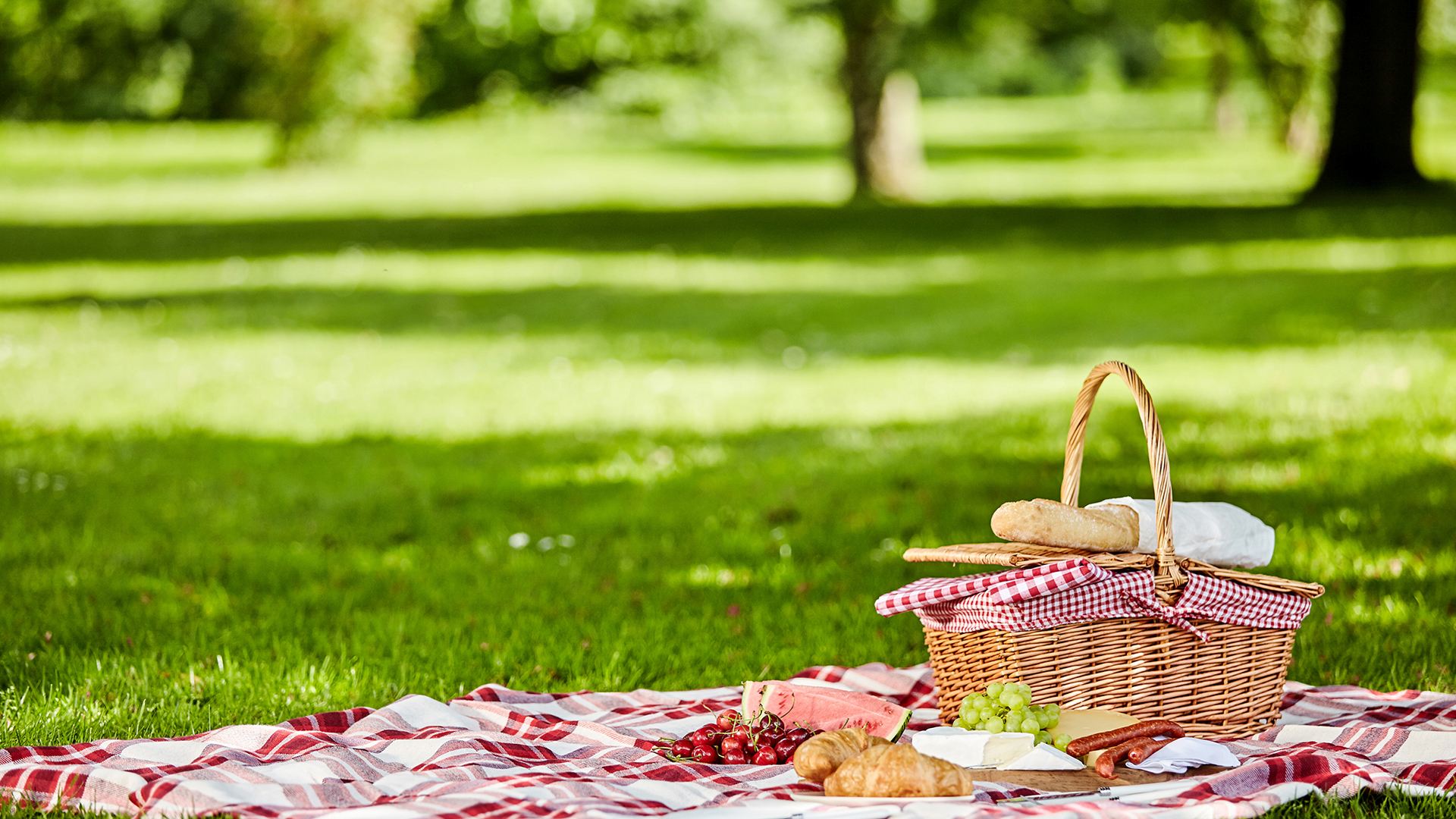 Summer Picnic