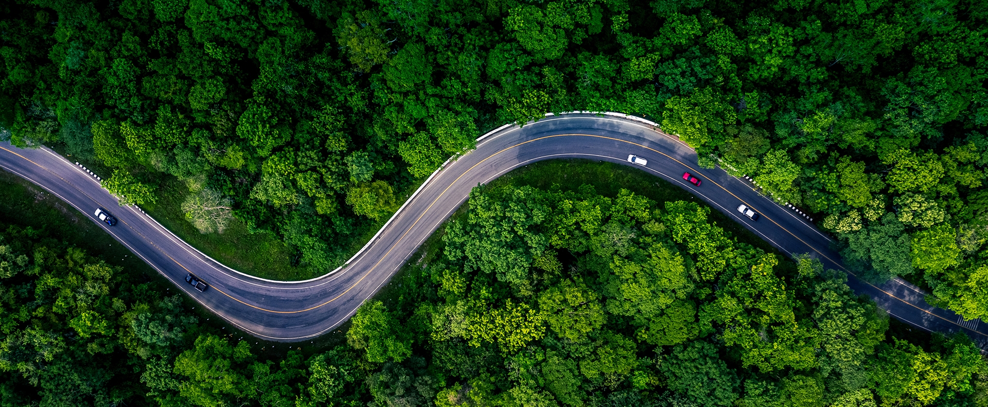 winding road through forest